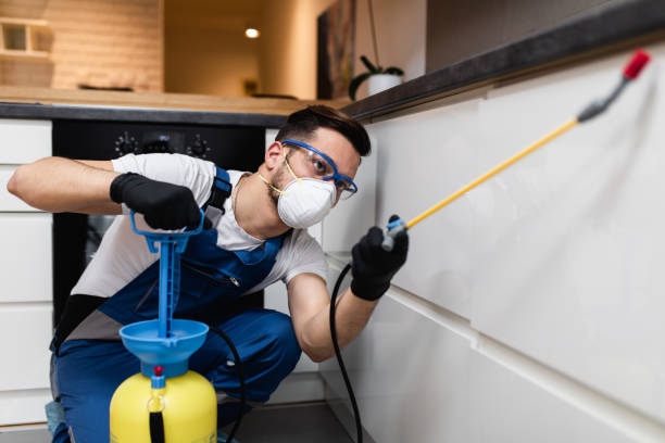 Best Pest Control Near Me  in Hesperia, CA