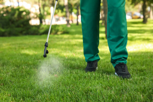 Best Affordable Pest Control Services  in Hesperia, CA