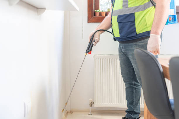 Best Ant Control Services  in Hesperia, CA